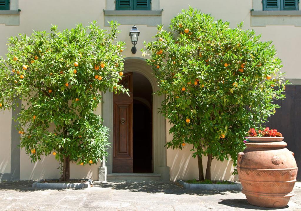 Villa Da Vinci Luaran gambar